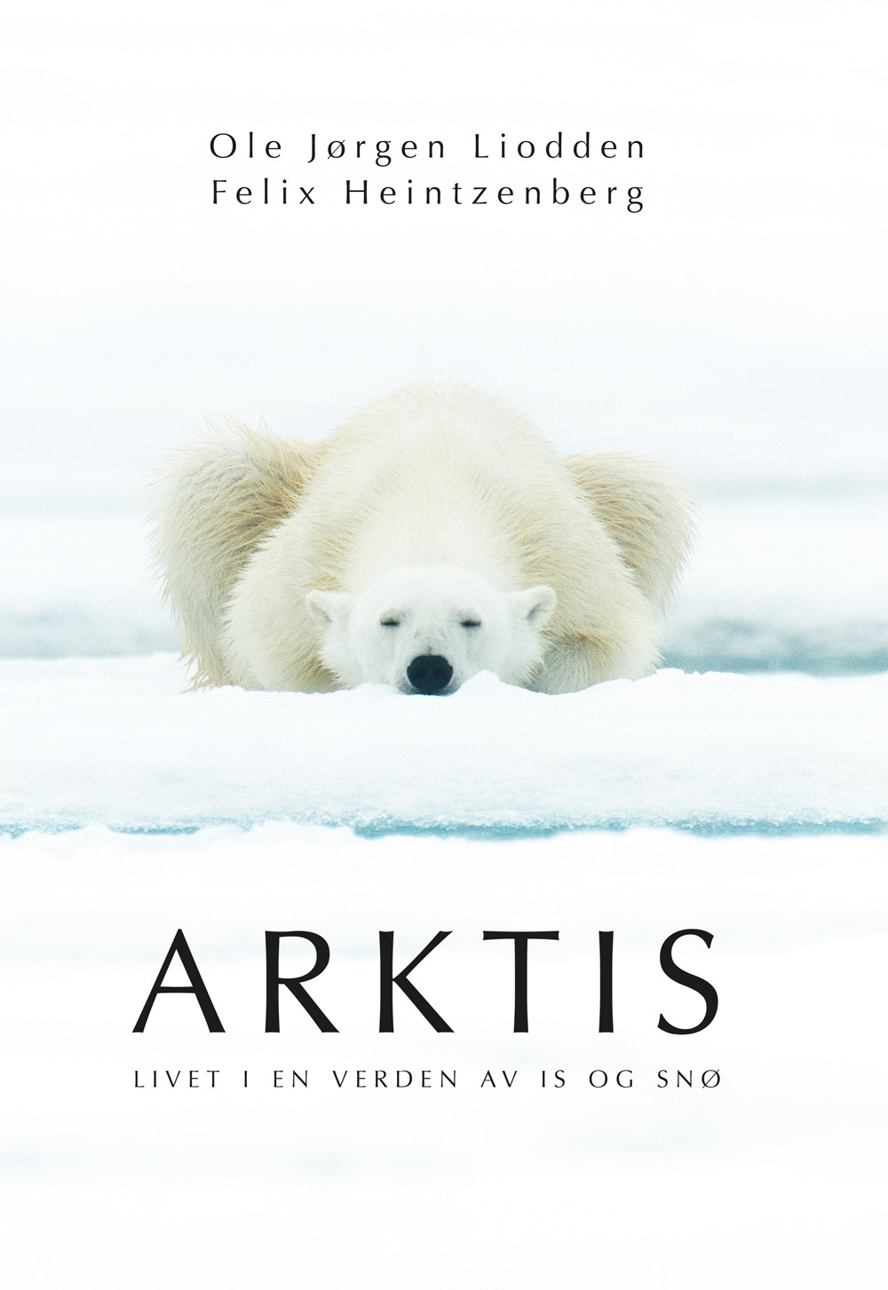 Arktis-vanlig