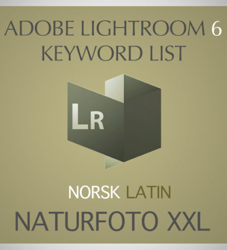 LR Keyword list - Norway 2
