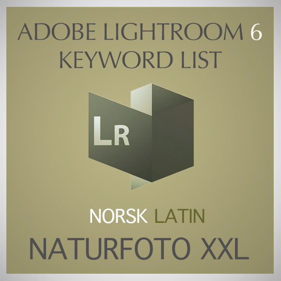 LR Keyword list - Norway 2