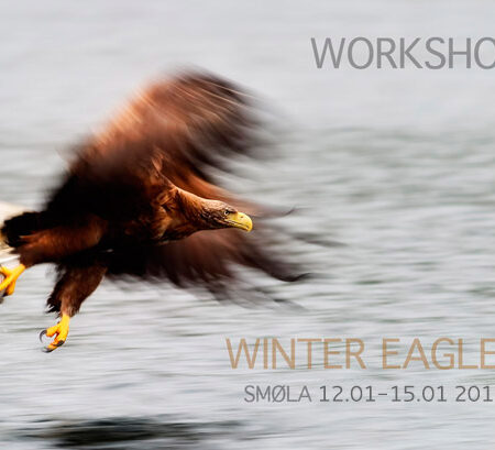 Workshop Winter Eagles 2017