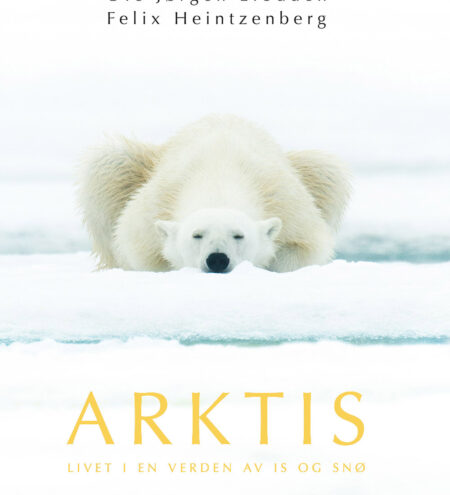 Arktis Limited Edition 1-10